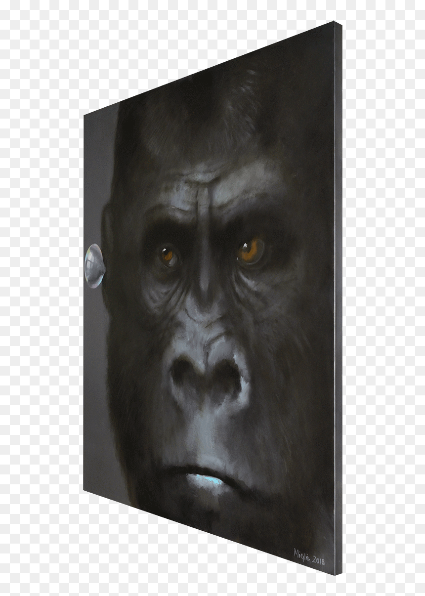 Gossip I - Nobig - Art - Monkey, HD Png Download - gossip png