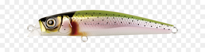 Bait Fish, HD Png Download - rainbow trout png
