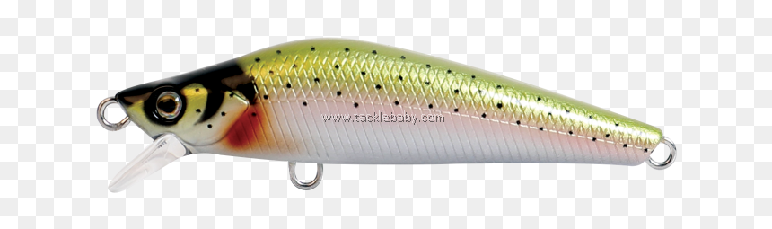 Trout, HD Png Download - rainbow trout png