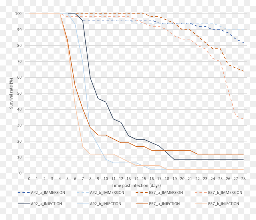 Plot, HD Png Download - rainbow trout png