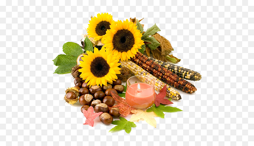 Autumn, HD Png Download - falling flowers png