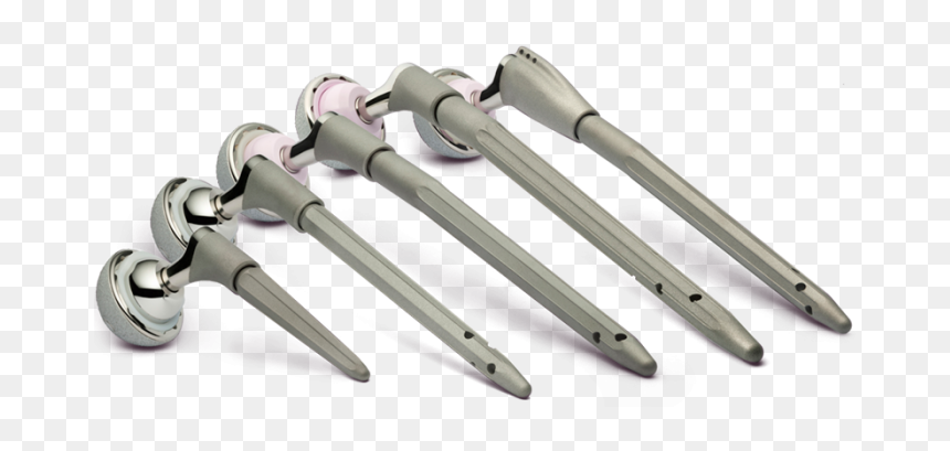 Revival Group - Tool, HD Png Download - revival png
