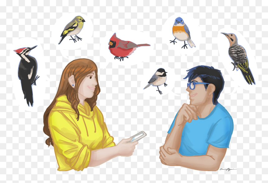 Transparent Bird Feeder Clipart - Woodpecker, HD Png Download - woodpecker png