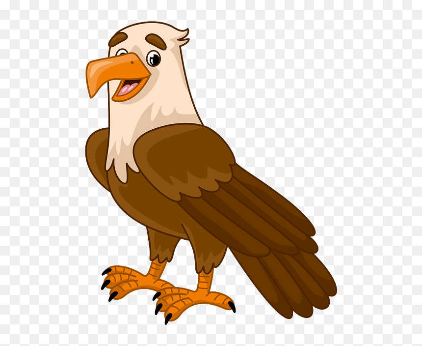 Bald Eagle, HD Png Download - eagle .png