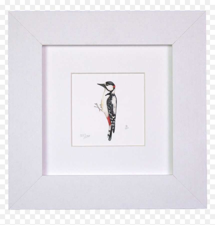 Woodpecker Mini Print - Puffin, HD Png Download - woodpecker png