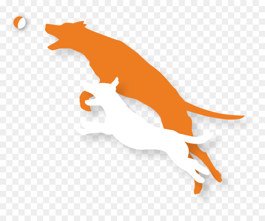 White Dog And Orange Dog Silhouettes - Active Dog Silhouette Dog Jumping, HD Png Download - white dog png