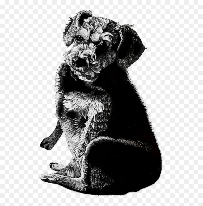 Dog Pen And Ink Portrait, HD Png Download - white dog png