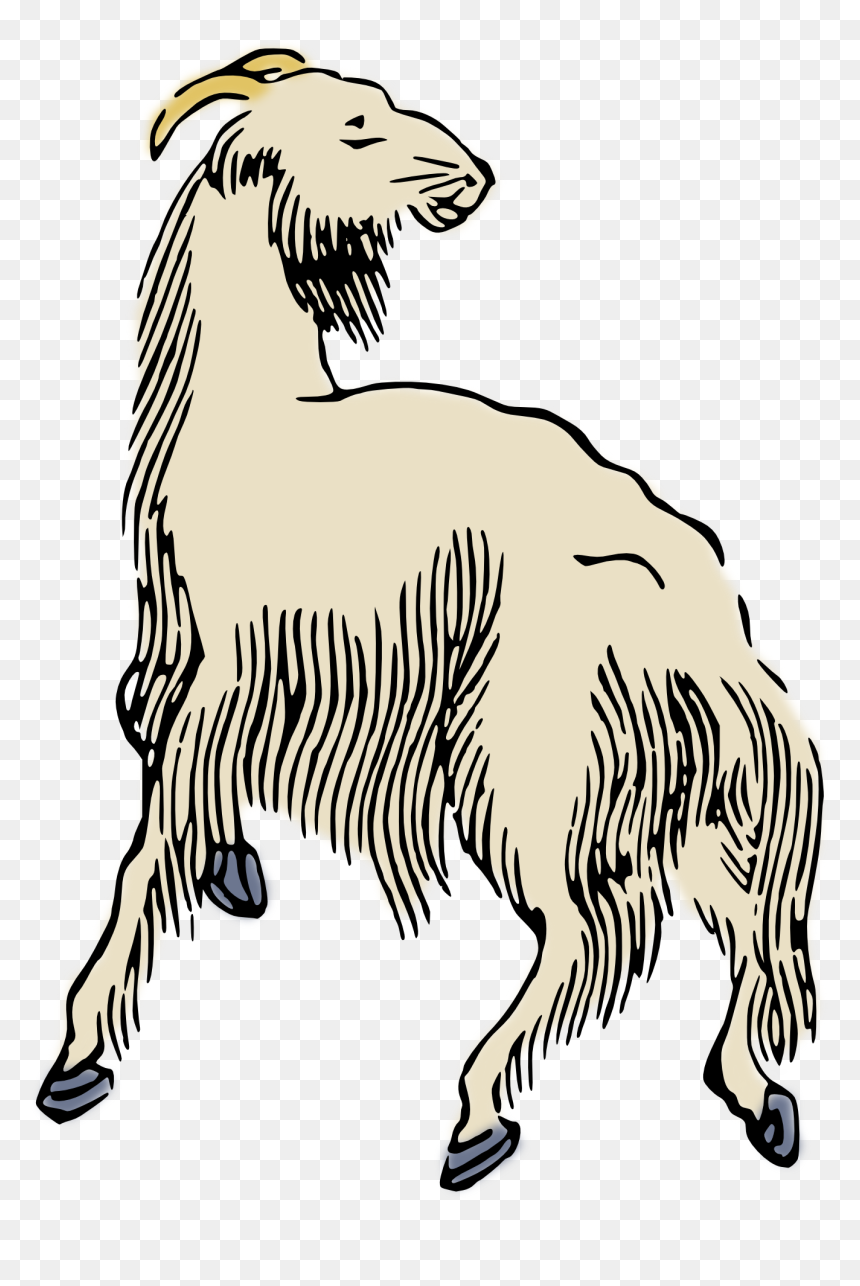Clip Art, HD Png Download - sheep clipart png