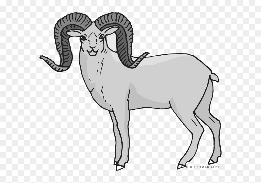 Clip Art Bighorn Sheep Clipart - Desert Bighorn Sheep Clipart, HD Png Download - sheep clipart png