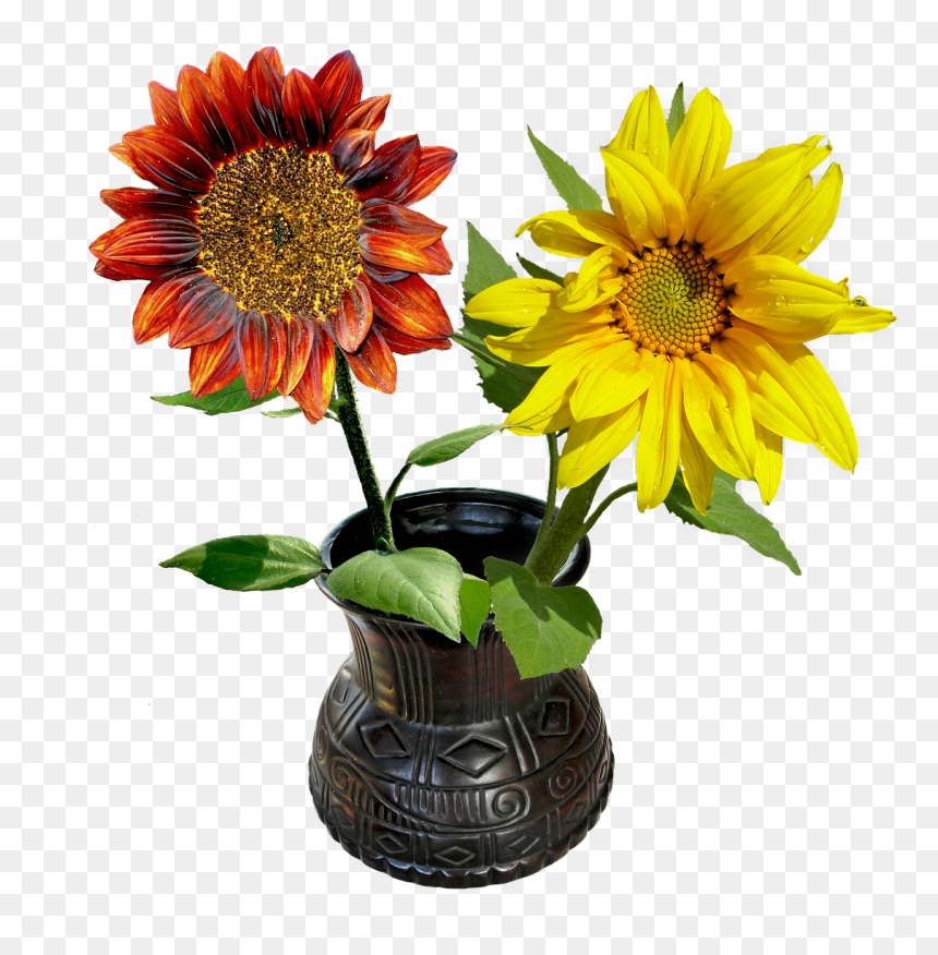 Gefällt Mir Guten Morgen, HD Png Download - vase of flowers png