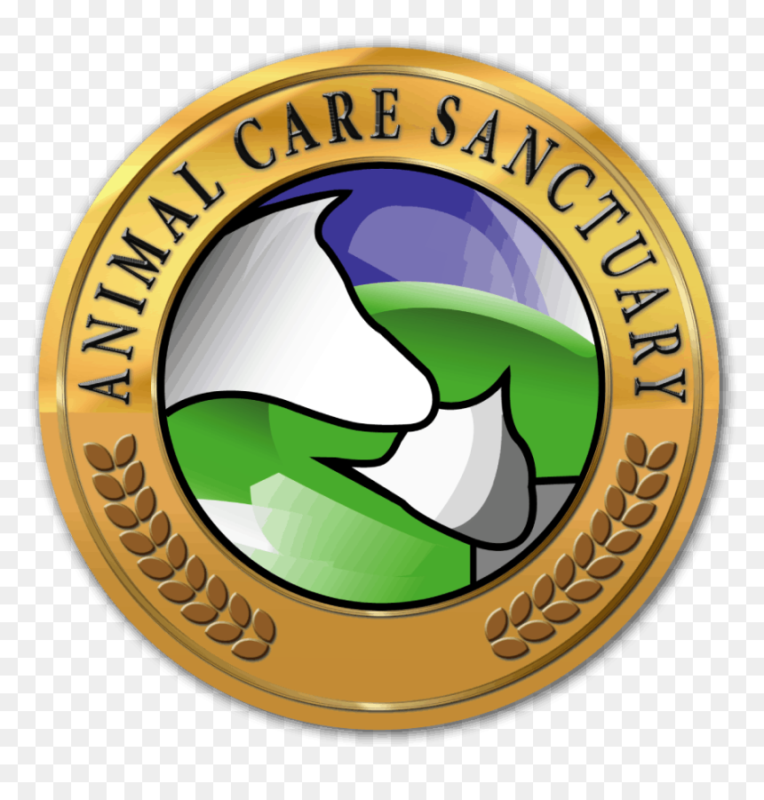 Transparent Whiskers Png - Kyokushin, Png Download - animal logo png