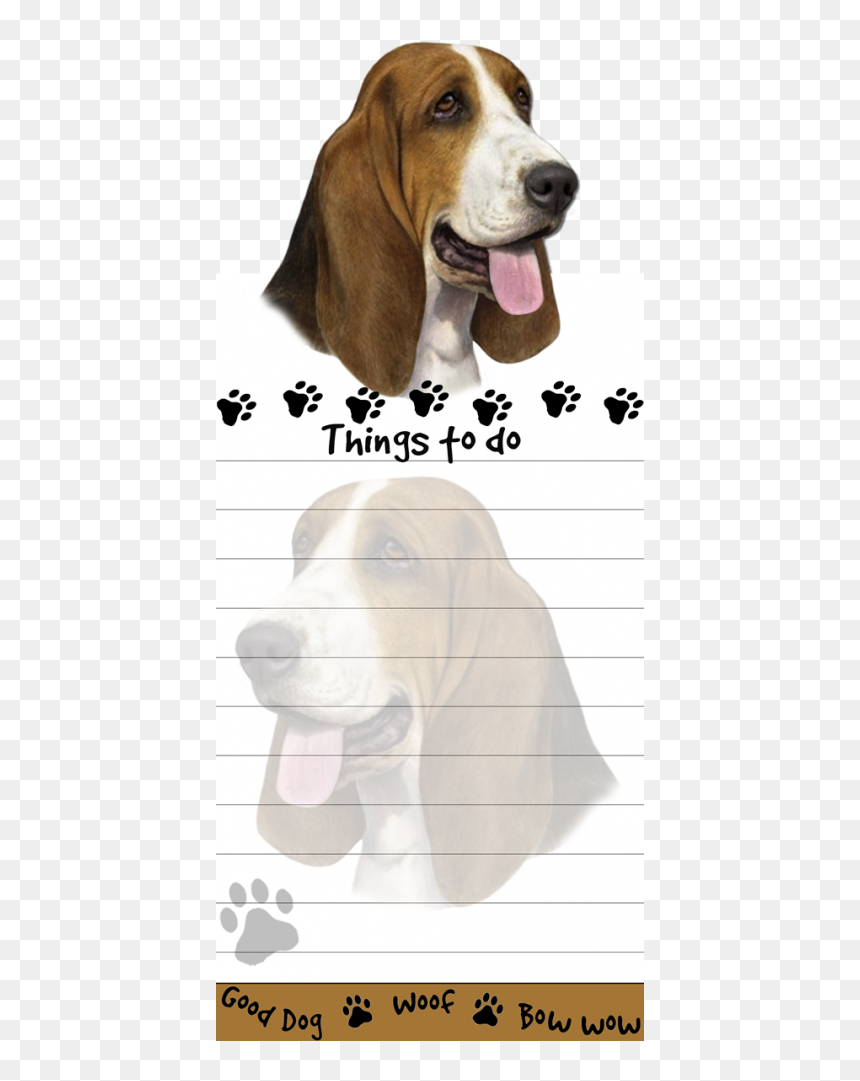 Transparent Basset Hound Png - Shih Tzu, Png Download - basset hound png