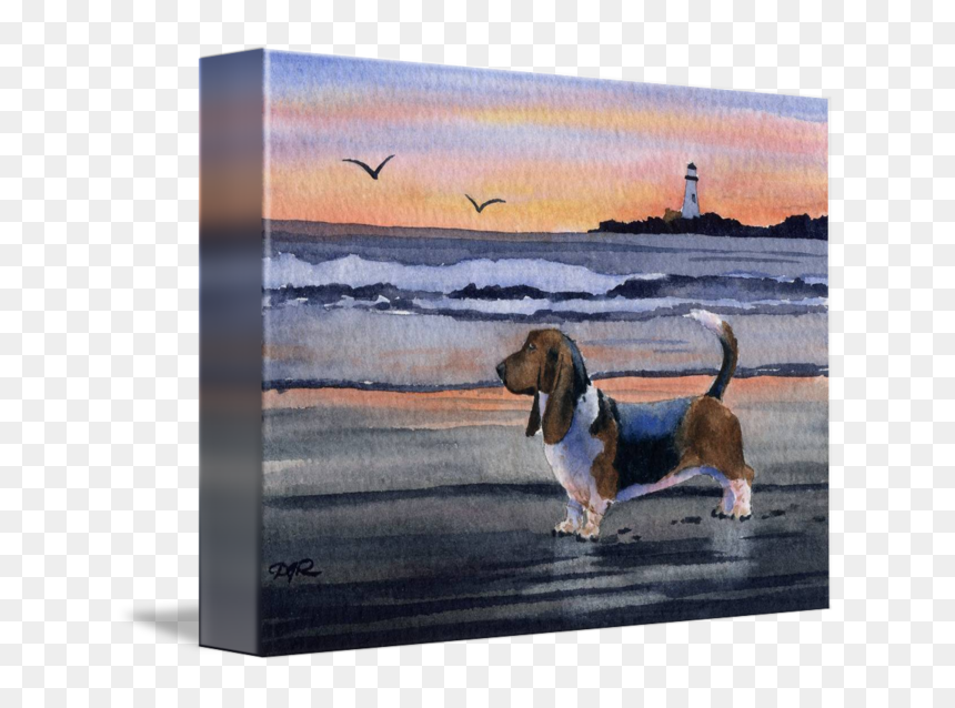 Basset Hound By David Rogers Watercolor Art - Watercolor Painting, HD Png Download - basset hound png