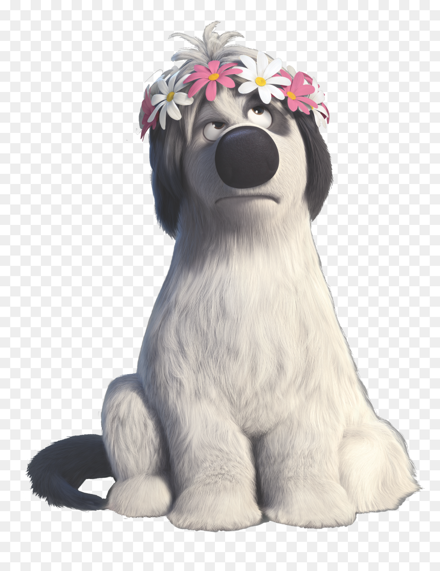 Afghan-hound - Ferdinand Paco, HD Png Download - basset hound png