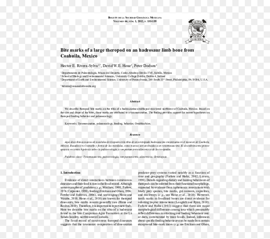Document, HD Png Download - bite marks png