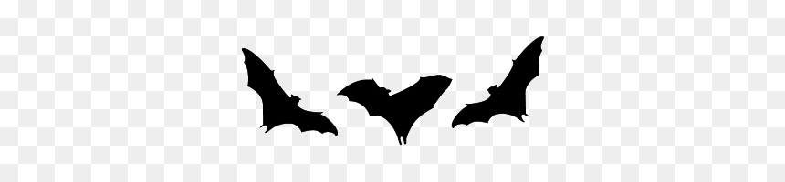 Little Brown Myotis, HD Png Download - web dividers png