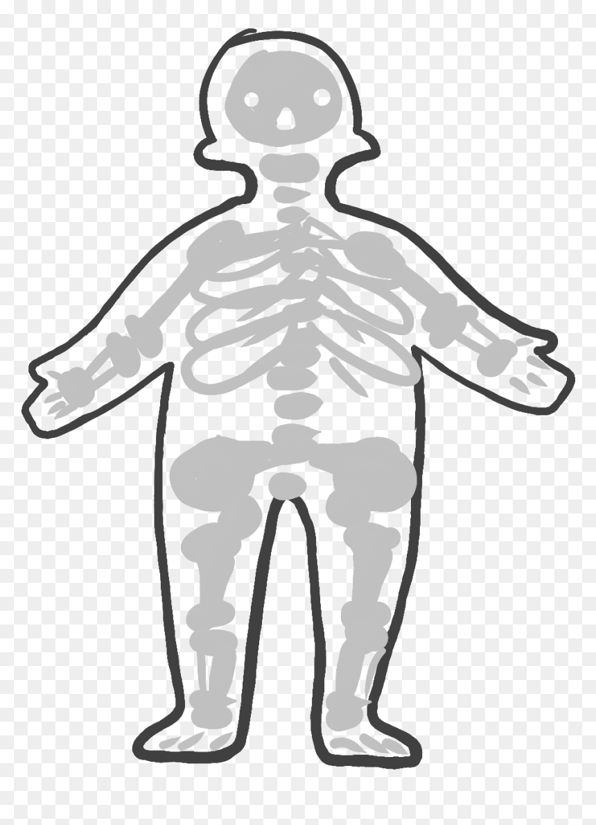 Illustration Clipart , Png Download - Clip Art Of Digestive System, Transparent Png - skeletal system png