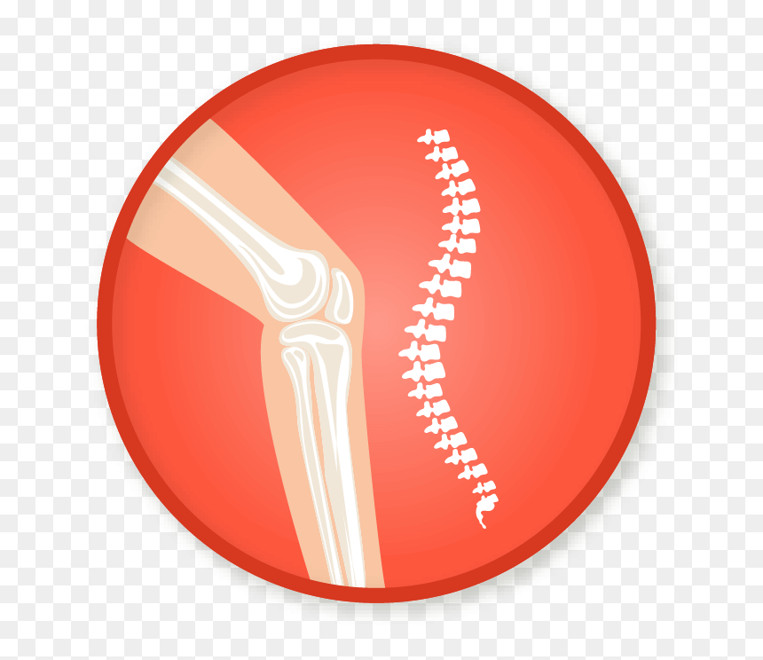 Prosthetics Vector, HD Png Download - skeletal system png