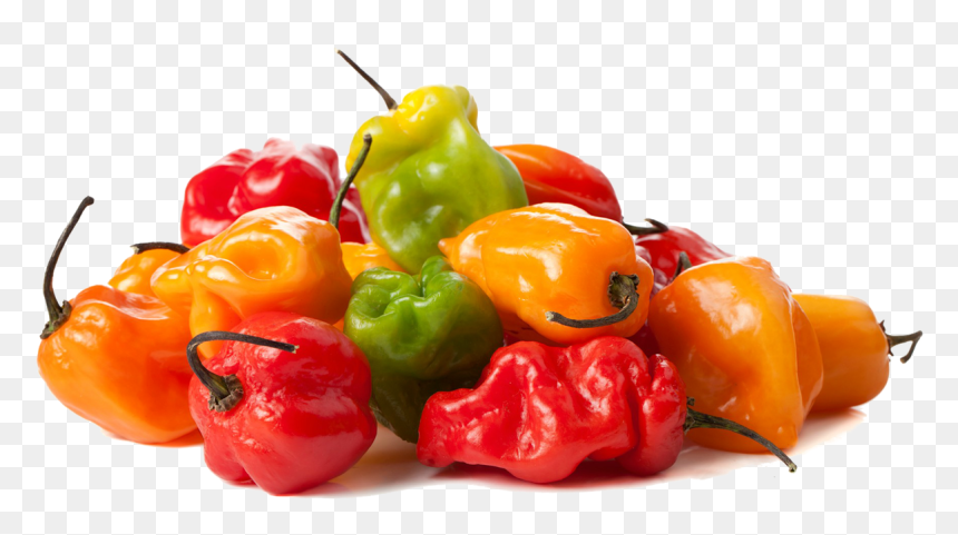 Habanero Png, Transparent Png - habanero png