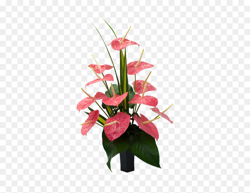Anthurium Andraeanum Flowers Transparent, HD Png Download - hawaii flower png