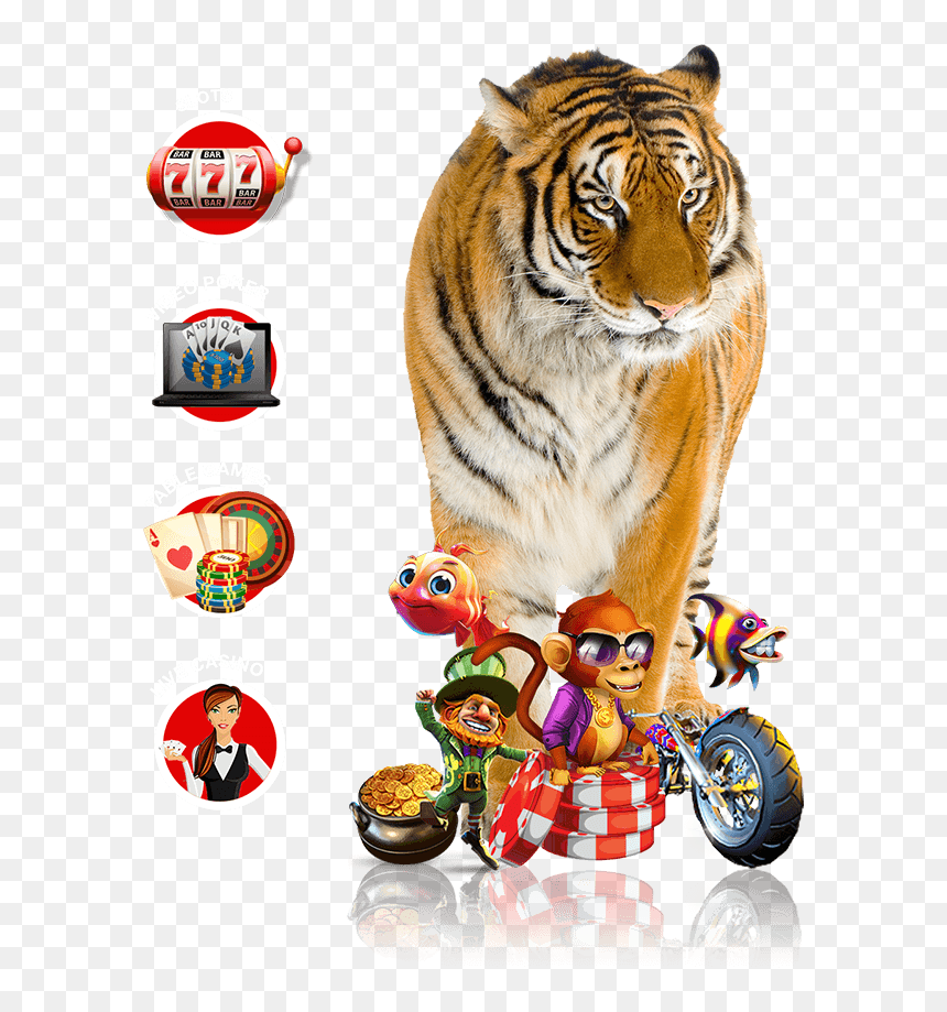 Tiger, HD Png Download - tiger scratch png