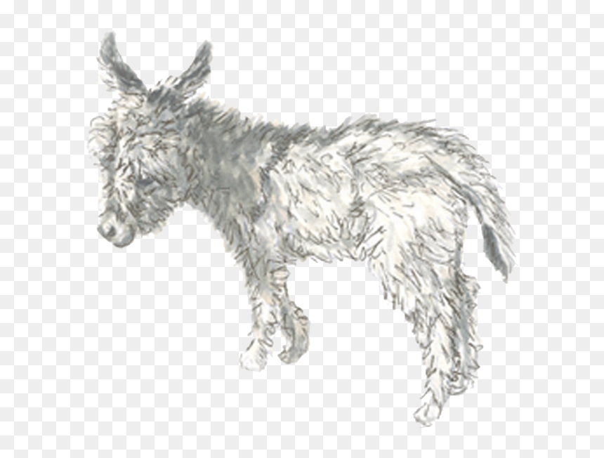 Burro, HD Png Download - burro png