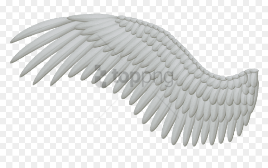 Free Png White Angel Wings Png Image With Transparent - White Wings Png, Png Download - angel wings.png