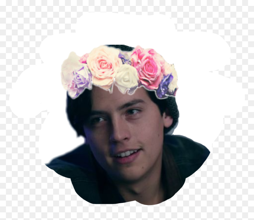 #colesprouse #cole #riverdale #sticker #cutie #cutiexcolesprouse - Stickers Cole Sprouse Png, Transparent Png - cole sprouse png