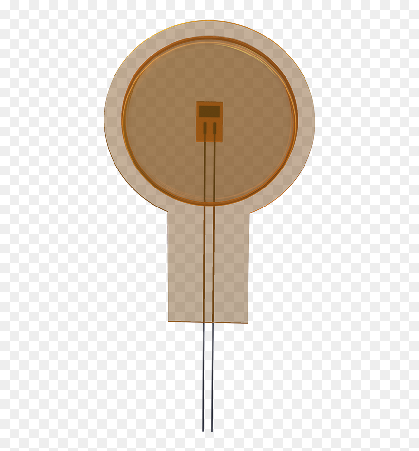 Strainpad - Plywood, HD Png Download - octogon png