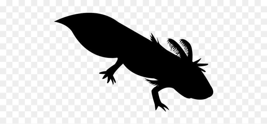 "
 Class="lazyload Lazyload Mirage Cloudzoom Featured - Axolotl Svg, HD Png Download - axolotl png