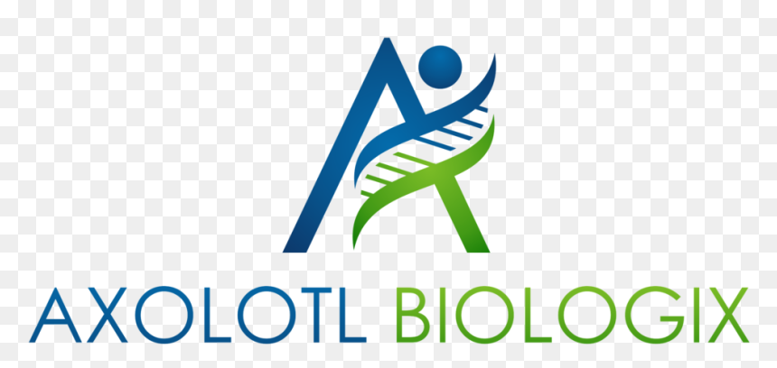 Graphic Design, HD Png Download - axolotl png
