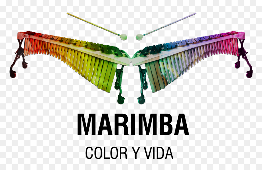 Chonta Ilustraci N Pinterest - Insect, HD Png Download - marimba png