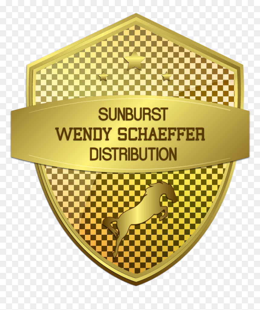 White Circle Frame Png, Transparent Png - sunburst vector png