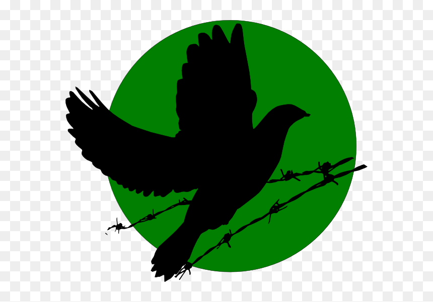 Clip Art, HD Png Download - dove png