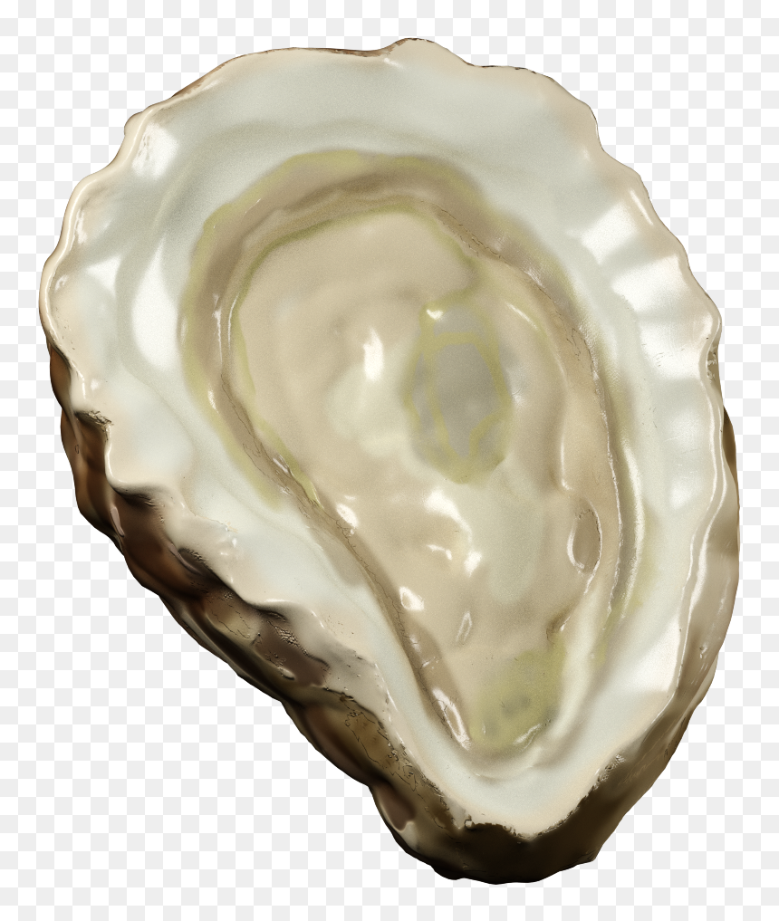 Clean Oyster, HD Png Download - vs png