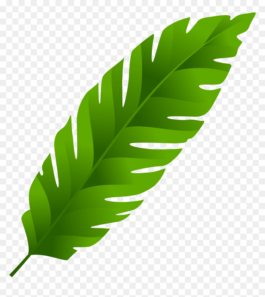 Leaves Png, Transparent Png - leaves png