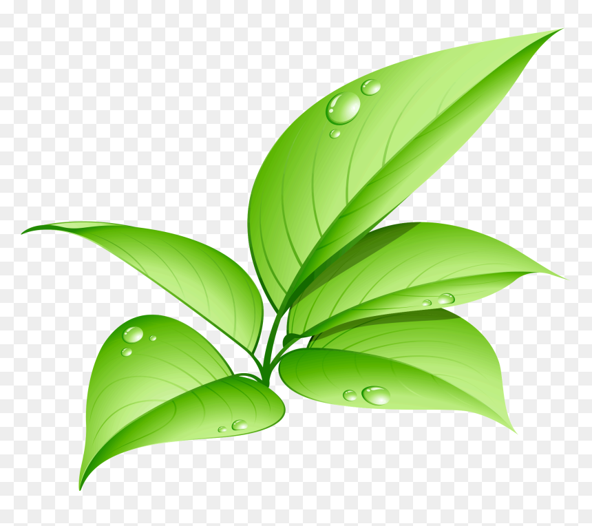 Eco Friendly Led Bulb, HD Png Download - leaves png