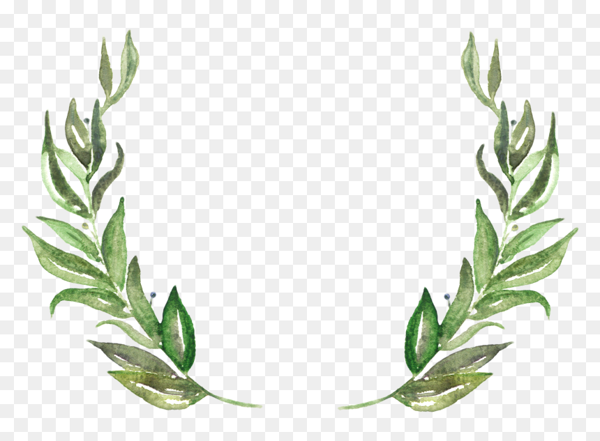 Wedding Invitation Rancho Las Lomas, HD Png Download - leaves png