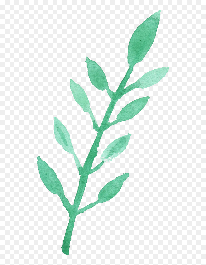 Water Color Leaf Png, Transparent Png - leaves png