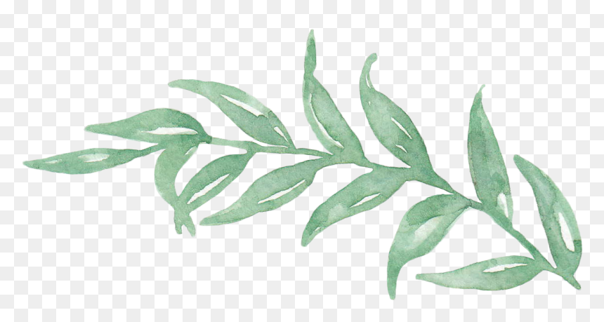 Transparent Leaf Watercolor Png, Png Download - leaves png