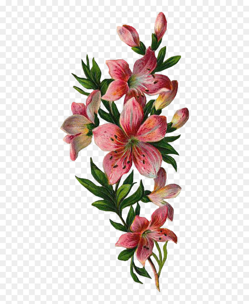 Flowers With Leaves Png, Transparent Png - leaves png
