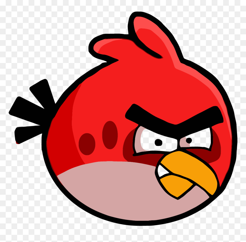 Funny Memes On Shahrukh Khan, HD Png Download - birds png