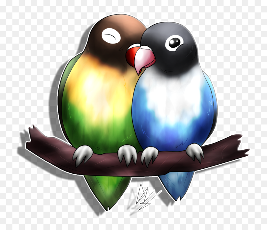 Love Bird Wallpaper Png, Transparent Png - birds png