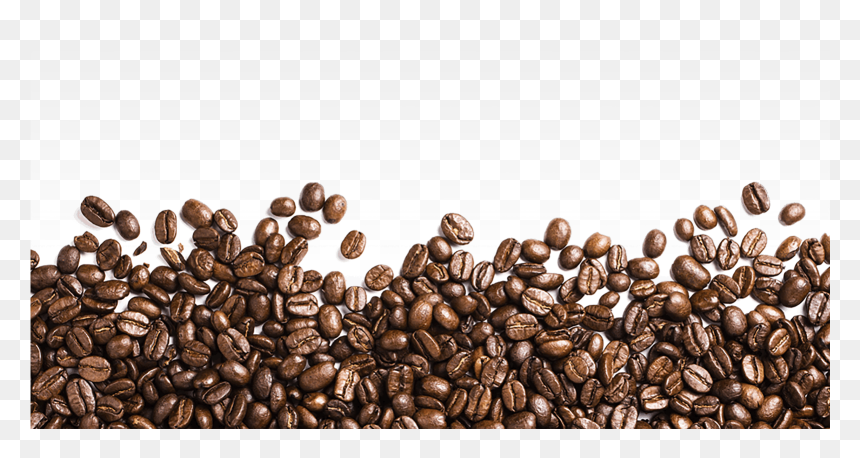Coffee Beans Png, Transparent Png - coffee png