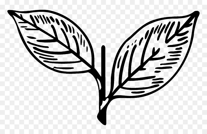 Symbol Of All India Anna Dravida Munnetra Kazhagam, HD Png Download - leaves png