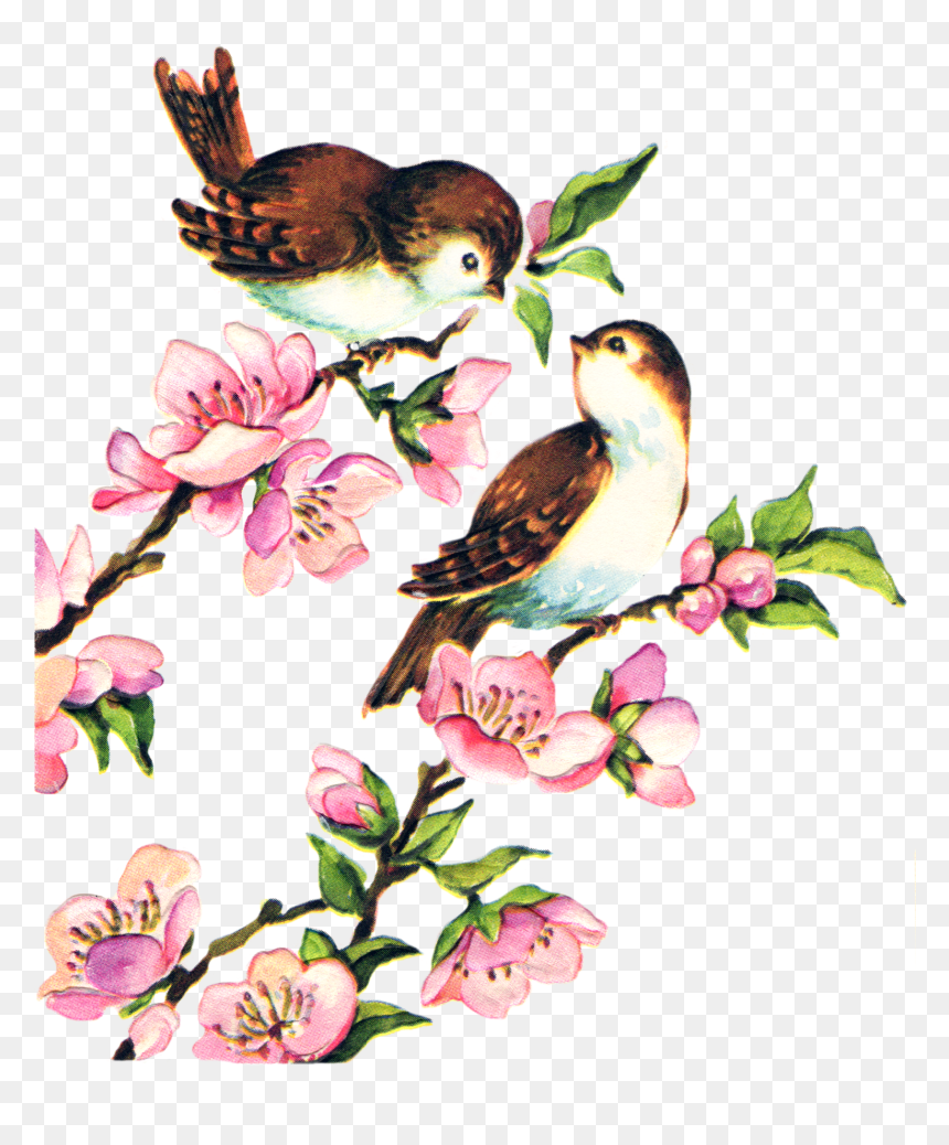 Clip Art Bird Vintage, HD Png Download - birds png