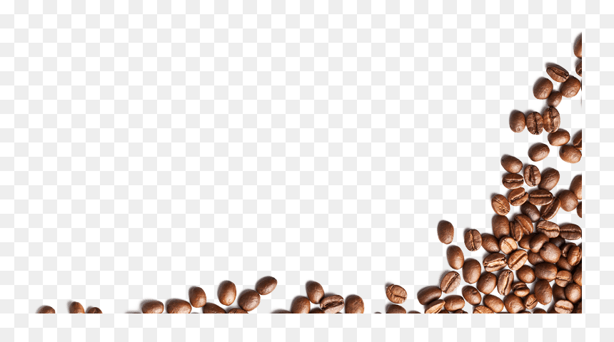Coffee Bean Png, Transparent Png - coffee png