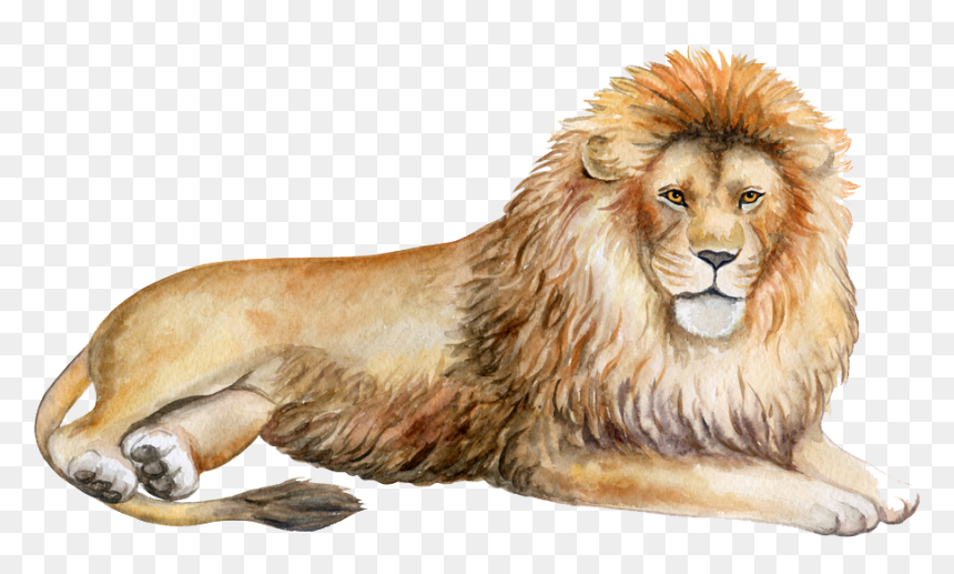 Löwe Aquarell, HD Png Download - lion png