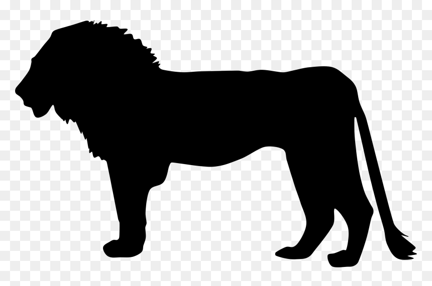 Lion Silhouette No Background, HD Png Download - lion png