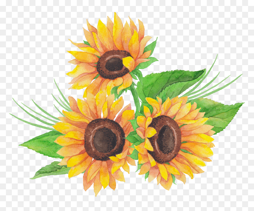 Sunflower, HD Png Download - sunflower png